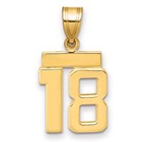 14K Yellow Gold Small Polished Number 18 Charm view 1