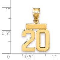 14K Yellow Gold Polished Small Number 20 Charm view 3