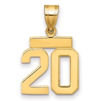 14K Yellow Gold Polished Small Number 20 Charm view 1