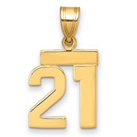 14K Yellow Gold Small Polished Number 21 Charm view 1