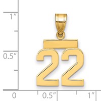 14K Yellow Gold Small Polished Number 22 Charm view 2