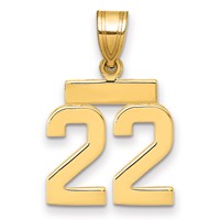 14K Yellow Gold Small Polished Number 22 Charm view 1