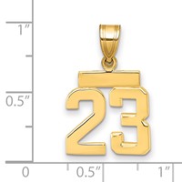 14K Yellow Gold Small Polished Number 23 Charm view 3