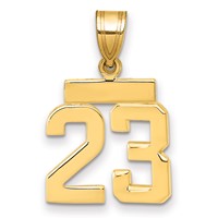 14K Yellow Gold Small Polished Number 23 Charm view 1