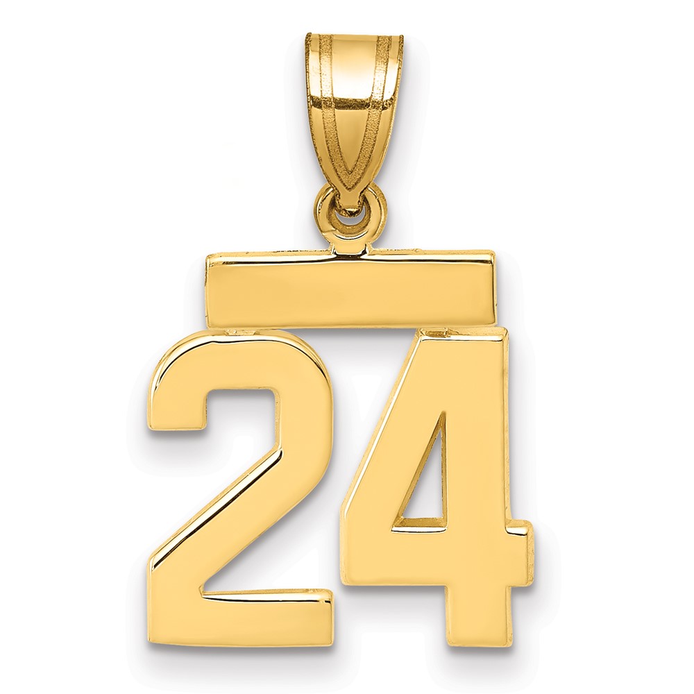 14K Yellow Gold Small Polished Number 24 Charm