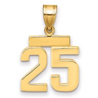14K Small Polished Number 25 Charm view 1