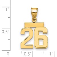 14K Yellow Gold Small Polished Number 26 Charm view 2
