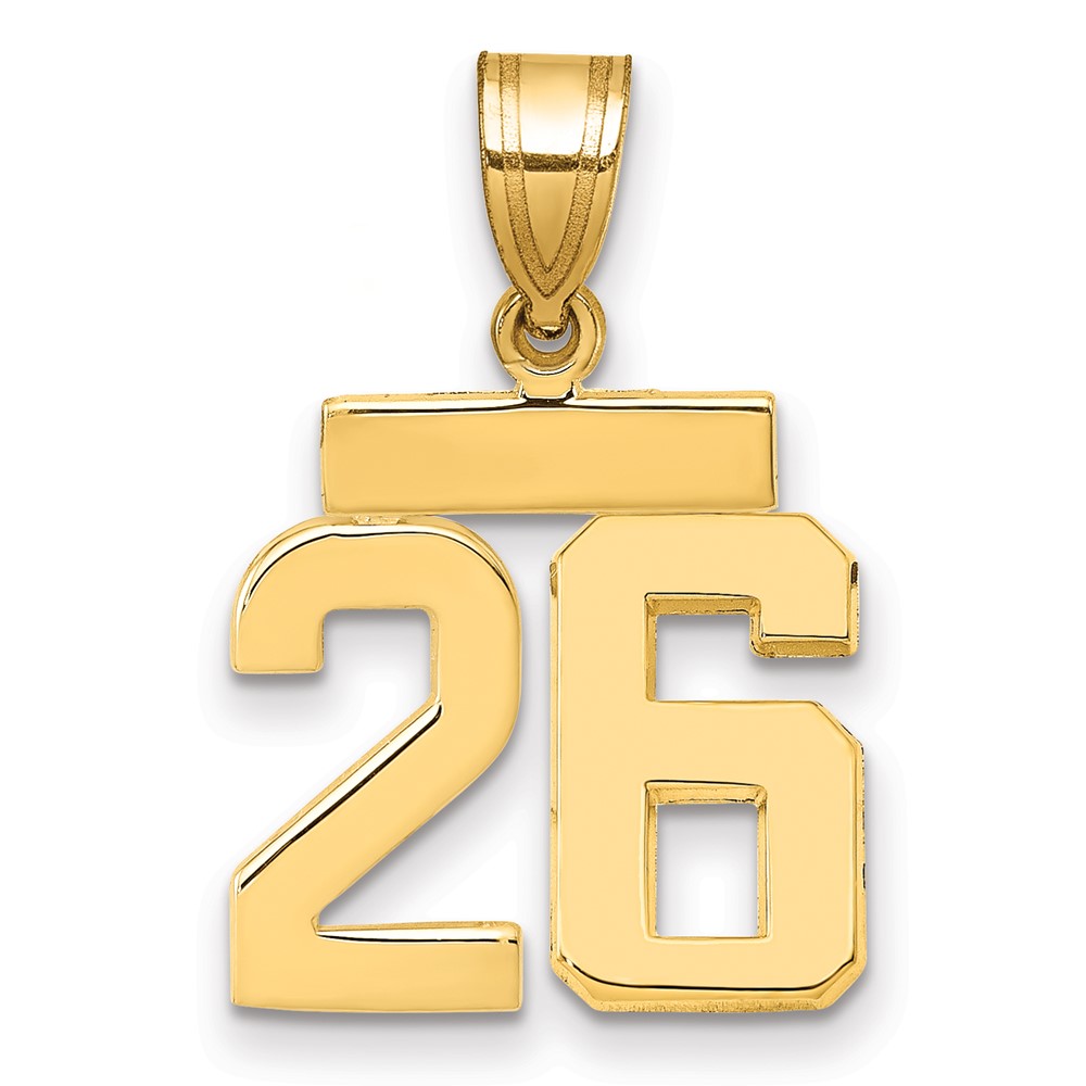 14K Yellow Gold Small Polished Number 26 Charm
