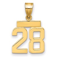 14K Small Polished Number 28 Charm view 1