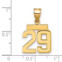 14K Small Polished Number 29 Charm view 2