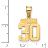 14K Yellow Gold Small Polished Number 30 Charm view 2