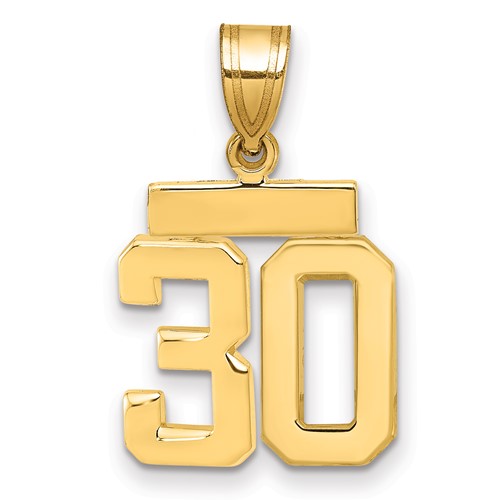 14K Yellow Gold Small Polished Number 30 Charm
