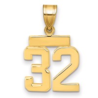 14K Yellow Gold Small Polished Number 32 Charm view 1