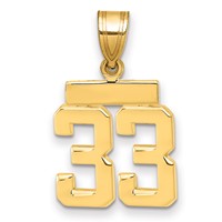 14K Yellow Gold Small Polished Number 33 Charm view 1