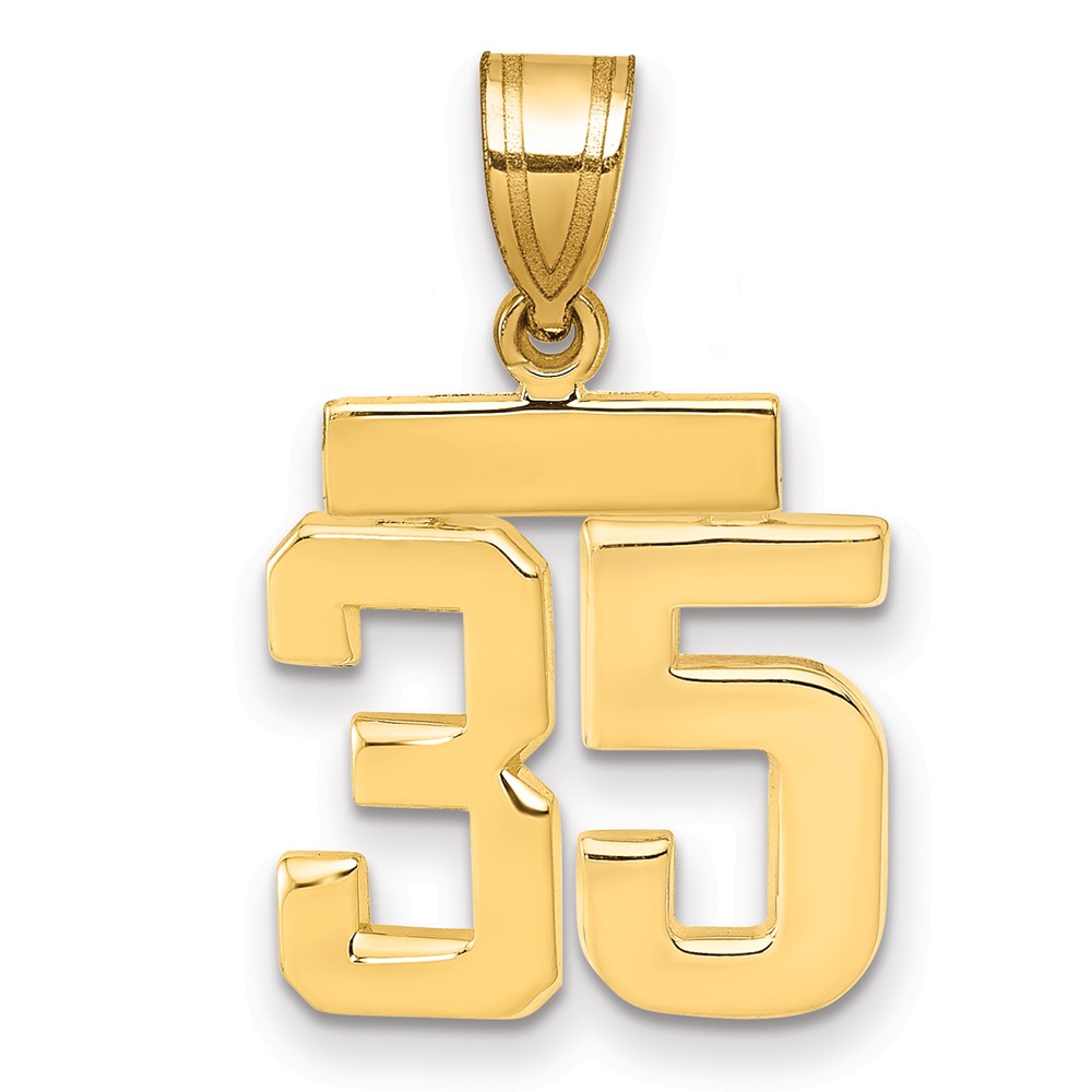 14K Yellow Gold Small Polished Number 35 Charm
