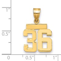 14K Yellow Gold Small Polished Number 36 Charm view 2