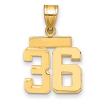 14K Yellow Gold Small Polished Number 36 Charm view 1