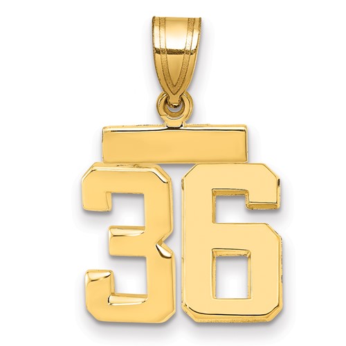 14K Yellow Gold Small Polished Number 36 Charm