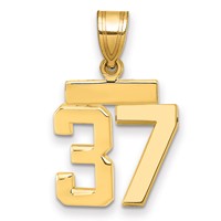 14K Small Polished Number 37 Charm view 1