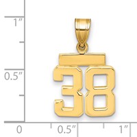 14K Yellow Gold Small Polished Number 38 Charm view 2
