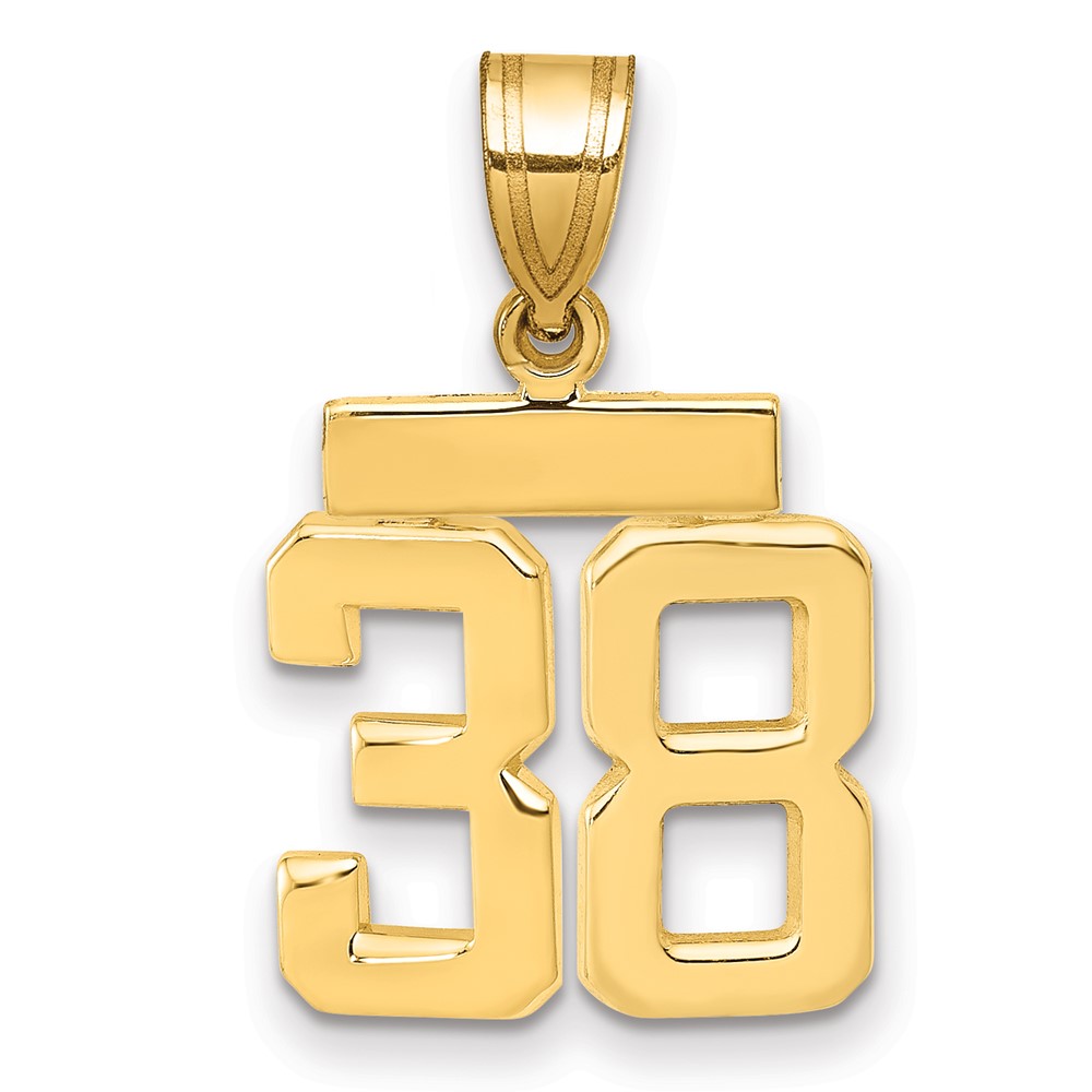 14K Yellow Gold Small Polished Number 38 Charm