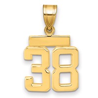 14K Yellow Gold Small Polished Number 38 Charm view 1
