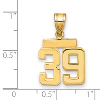 14K Yellow Gold Small Polished Number 39 Charm view 2