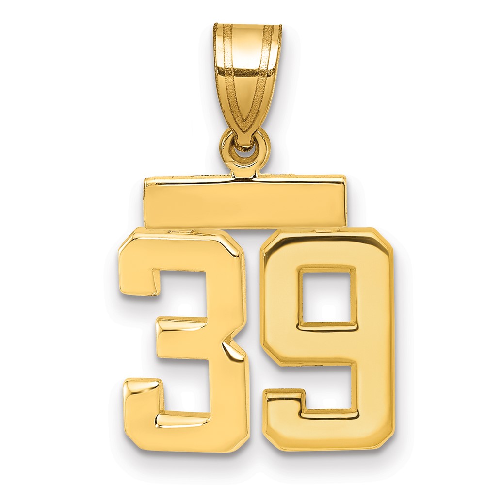 14K Yellow Gold Small Polished Number 39 Charm