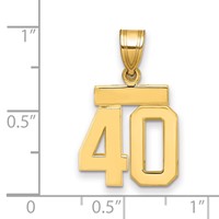 14K Yellow Gold Small Polished Number 40 Charm view 2