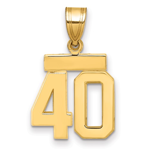 14K Yellow Gold Small Polished Number 40 Charm