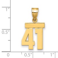 14K Yellow Gold Small Polished Number 41 Charm view 2