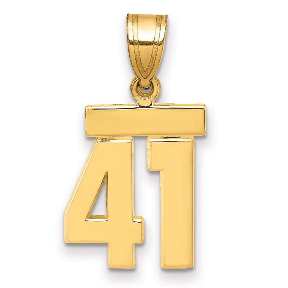 14K Yellow Gold Small Polished Number 41 Charm