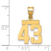 14K Small Polished Number 43 Charm view 2