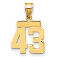 14K Small Polished Number 43 Charm view 1