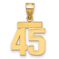 14K Yellow Gold Small Polished Number 45 Charm view 1