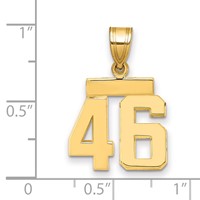 14K Yellow Gold Small Polished Number 46 Charm view 2