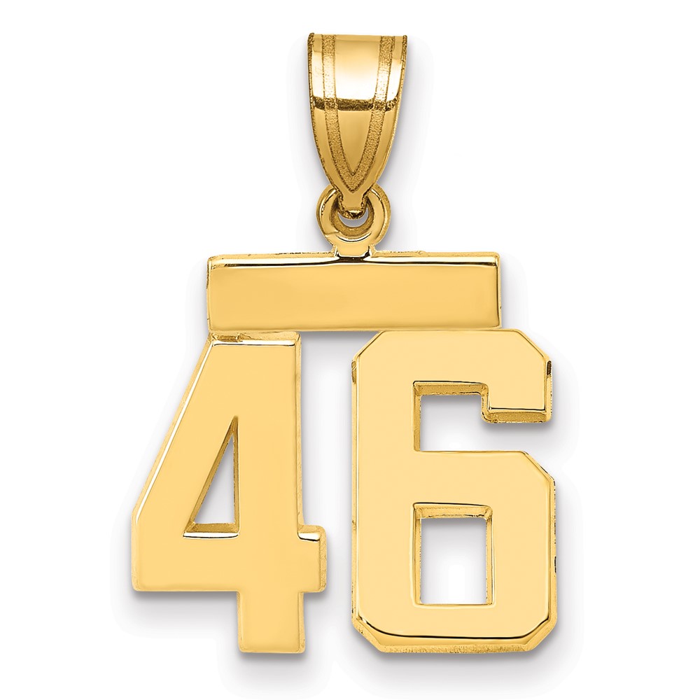 14K Yellow Gold Small Polished Number 46 Charm