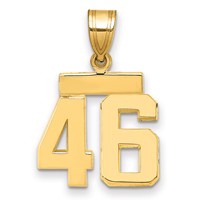 14K Yellow Gold Small Polished Number 46 Charm view 1
