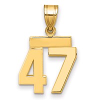 14K Yellow Gold Small Polished Number 47 Charm view 1