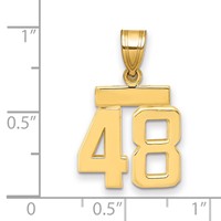 14K Yellow Gold Small Polished Number 48 Charm view 2