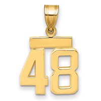 14K Yellow Gold Small Polished Number 48 Charm view 1