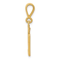 14K Yellow Gold Small Polished Number 49 Charm view 2