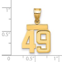 14K Yellow Gold Small Polished Number 49 Charm view 3