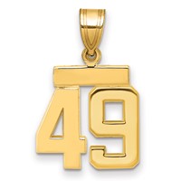 14K Yellow Gold Small Polished Number 49 Charm view 1