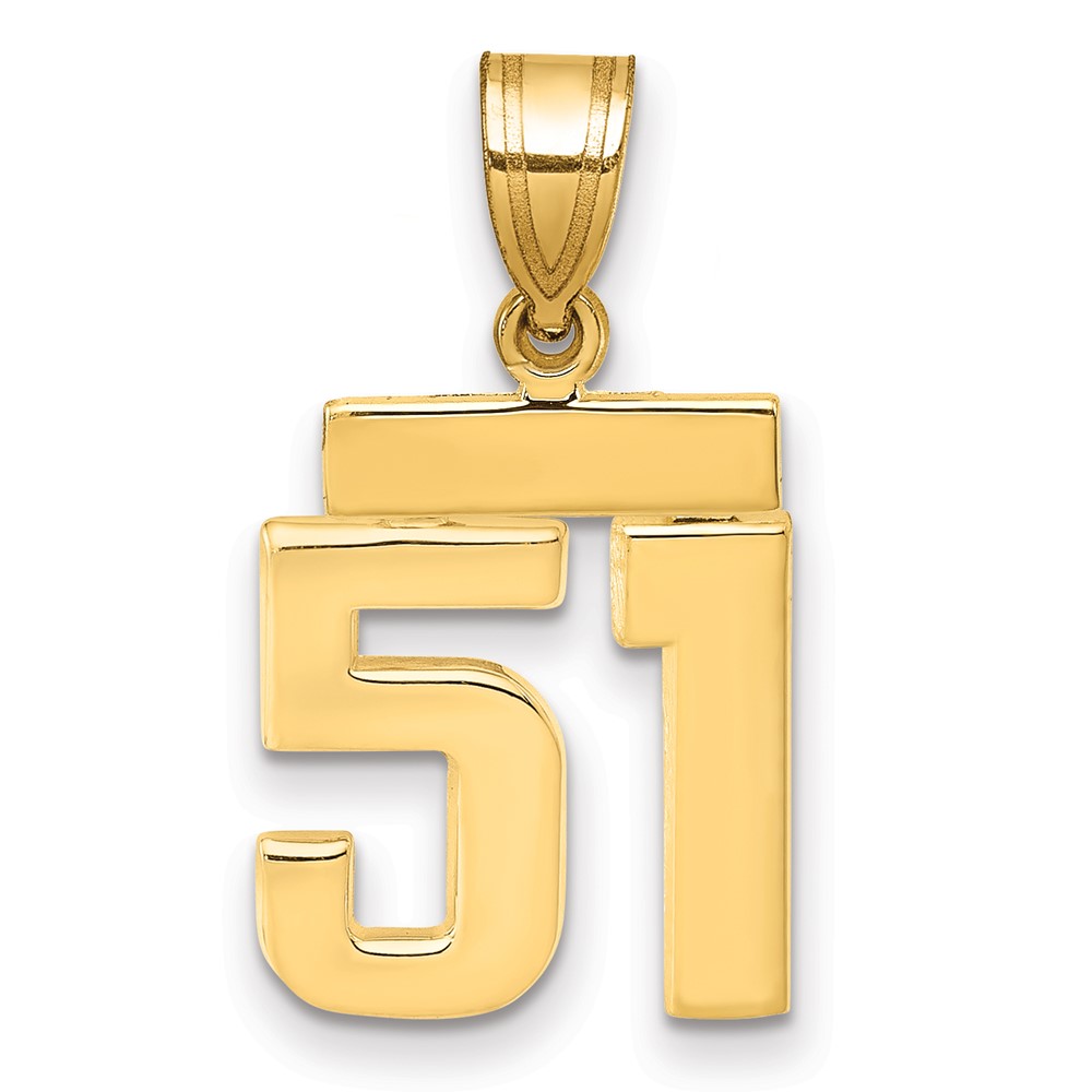 14K Yellow Gold Small Polished Number 51 Charm