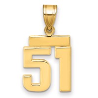 14K Yellow Gold Small Polished Number 51 Charm view 1