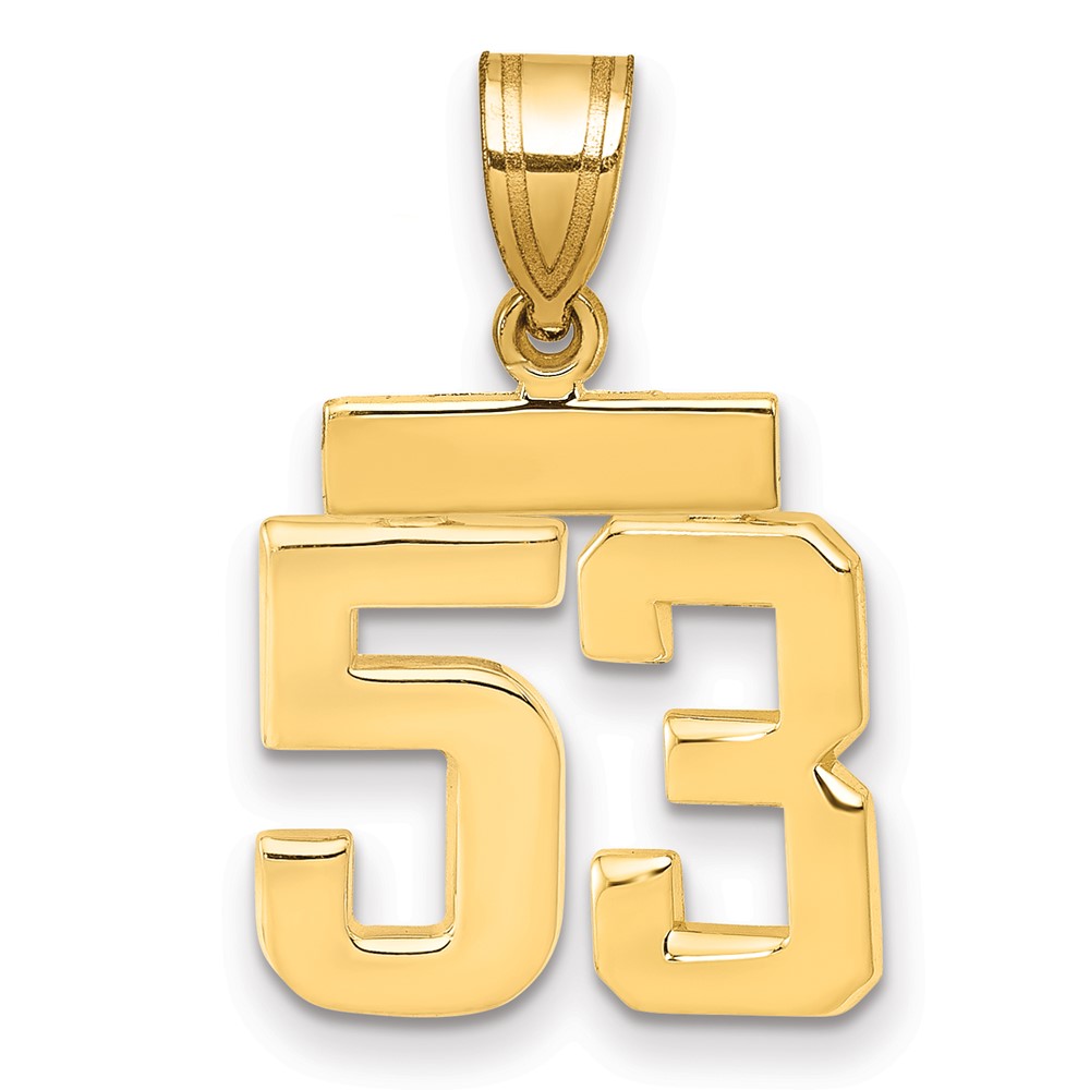14K Small Polished Number 53 Charm