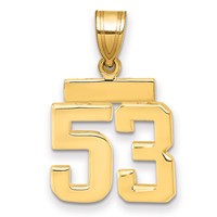 14K Small Polished Number 53 Charm view 1