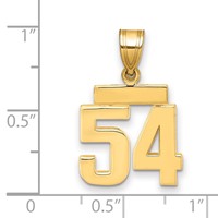 14K Yellow Gold Small Polished Number 54 Charm view 2