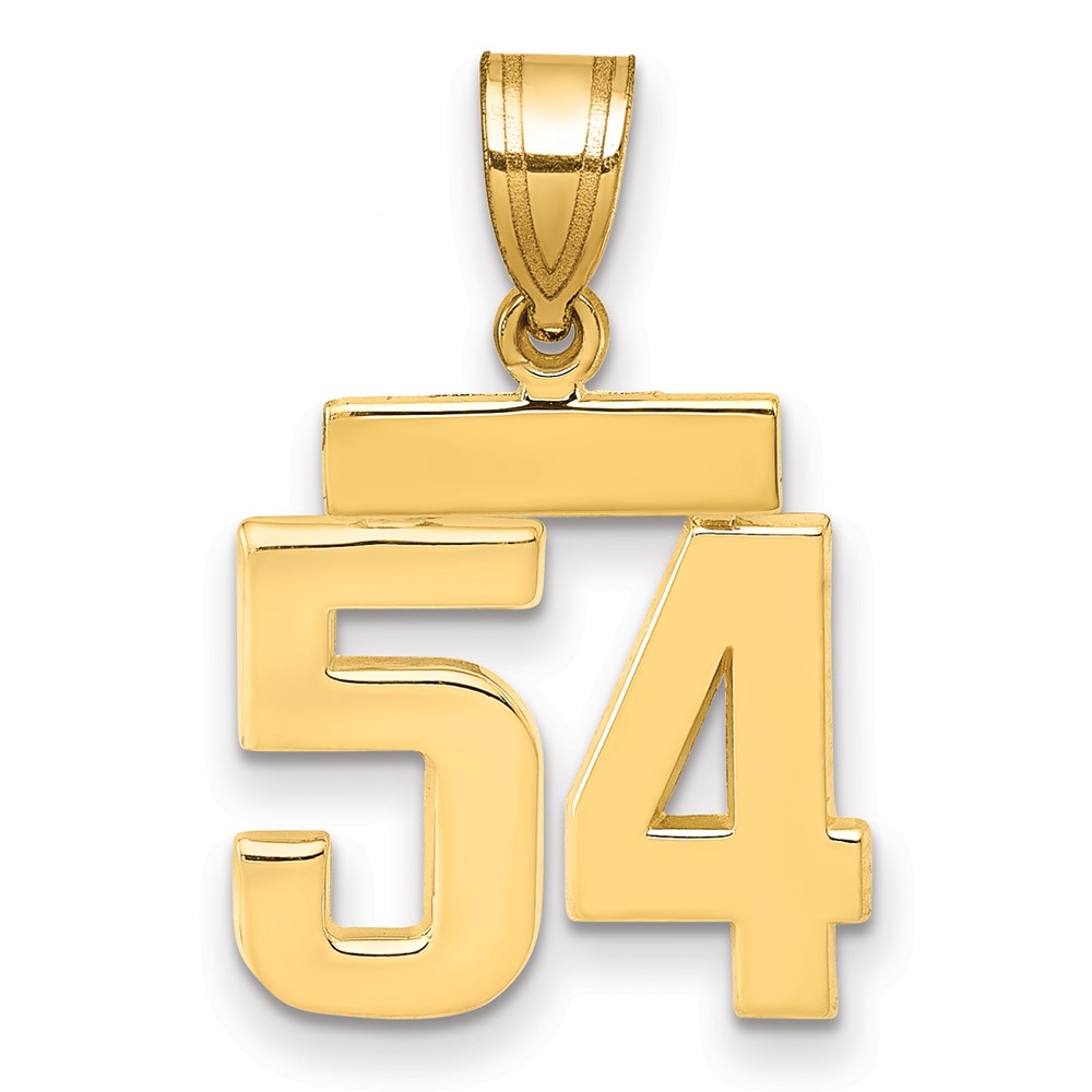 14K Yellow Gold Small Polished Number 54 Charm